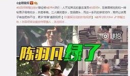 九红爆料视频大全最新,揭秘娱乐圈幕后真相